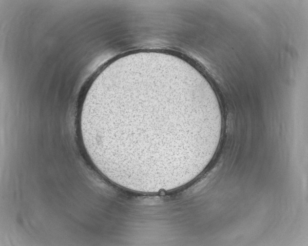 X0000114661410200911171101