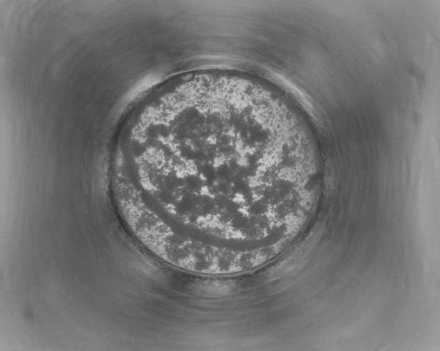 X0000114661411200911171101