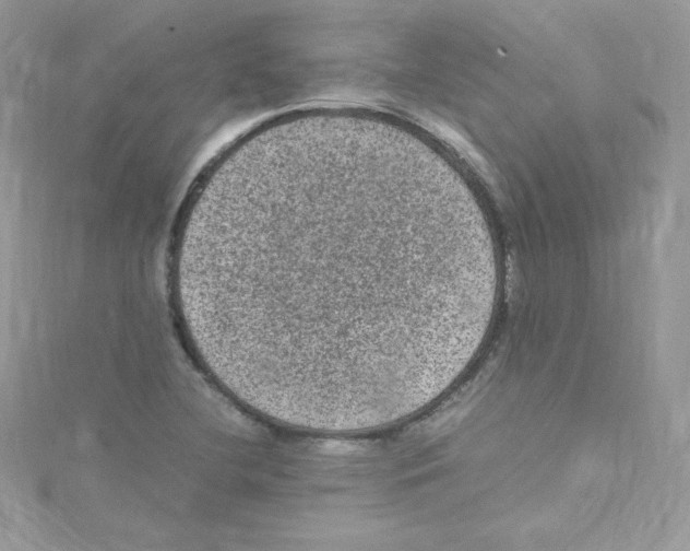 X0000114661412200911171101