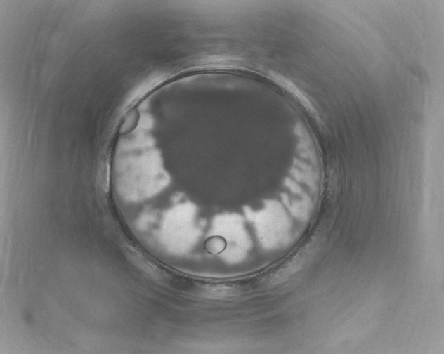 X0000114661413200911171101