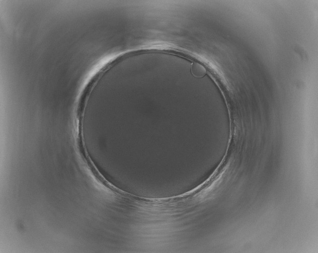 X0000114661414200911171101