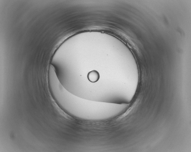 X0000114661417200911171101