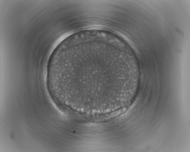 X0000114661418200911171101