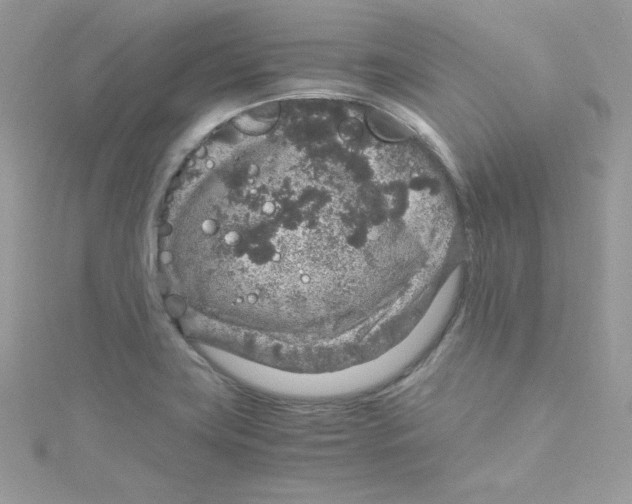 X0000114661419200911171101