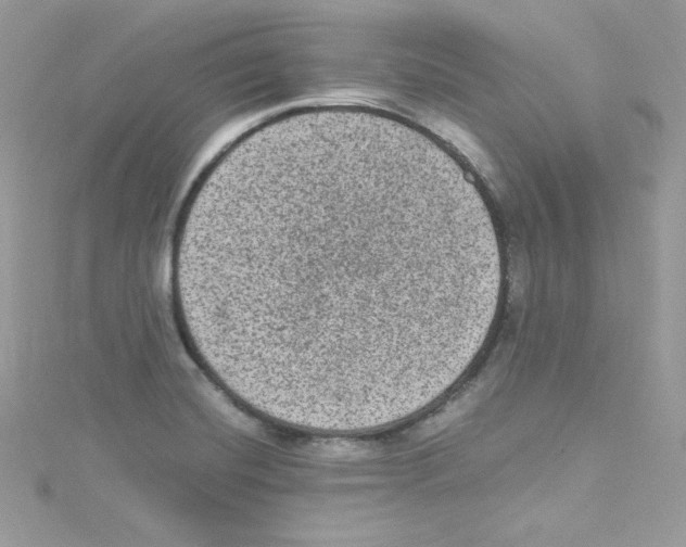 X0000114661420200911171101