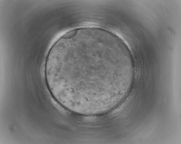 X0000114661421200911171101