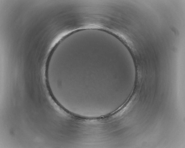 X0000114661422200911171101