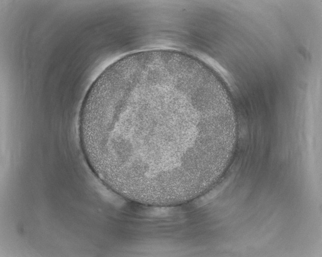 X0000114661423200911171101