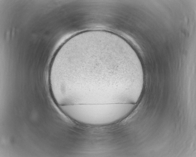 X0000114661424200911171101