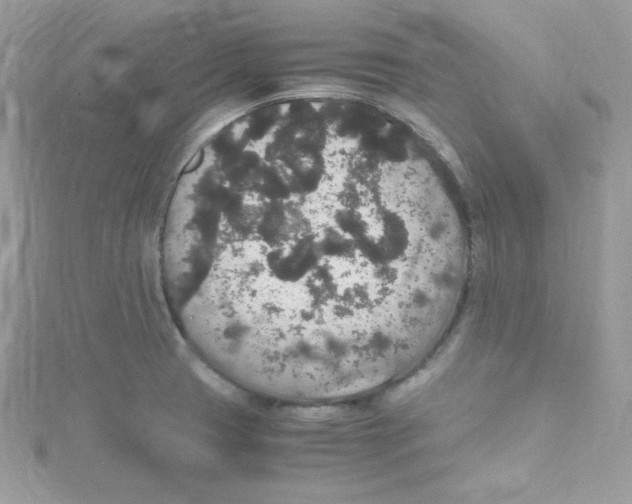 X0000114661425200911171101