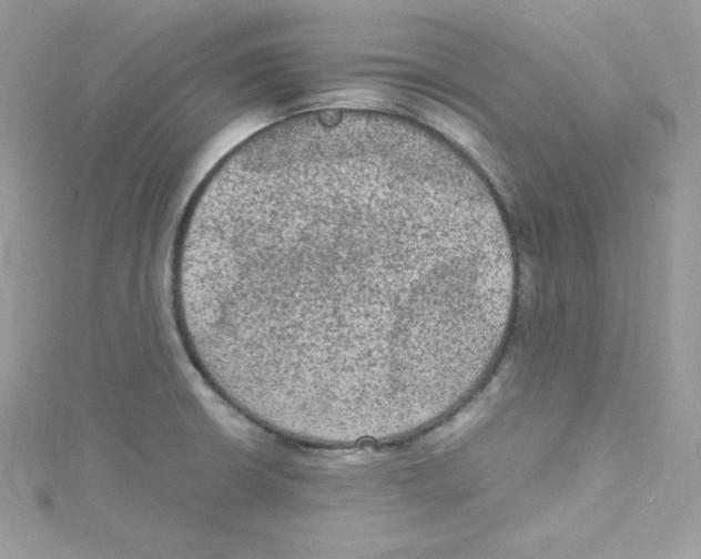 X0000114661426200911171101