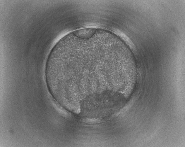 X0000114661427200911171101