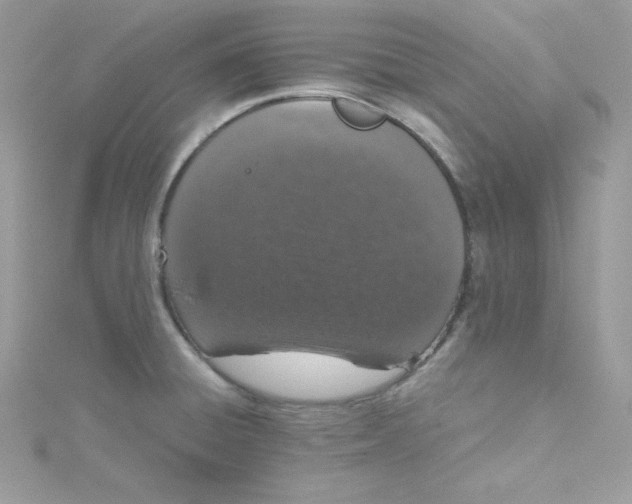 X0000114661428200911171101