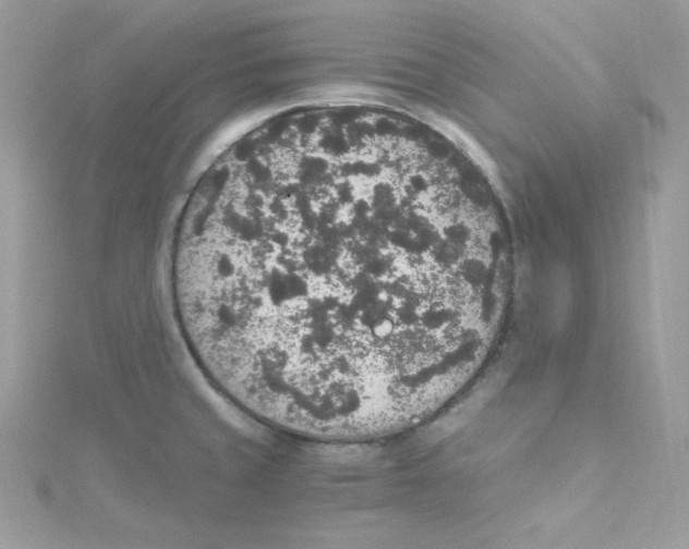 X0000114661429200911171101