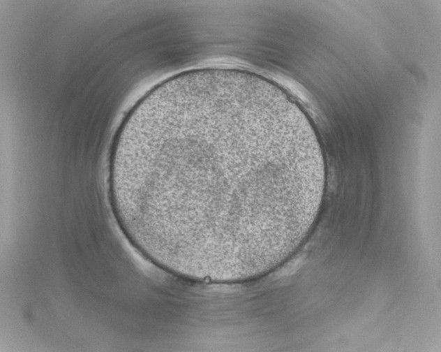 X0000114661430200911171101