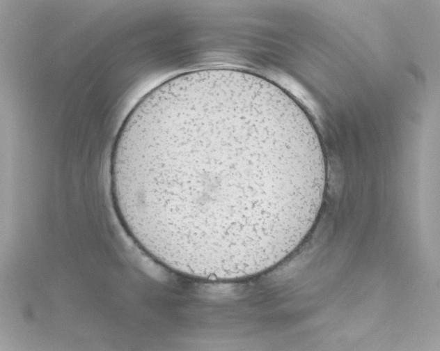 X0000114661431200911171101