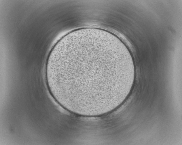 X0000114661432200911171101