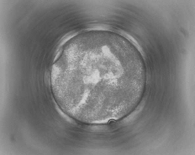 X0000114661433200911171101