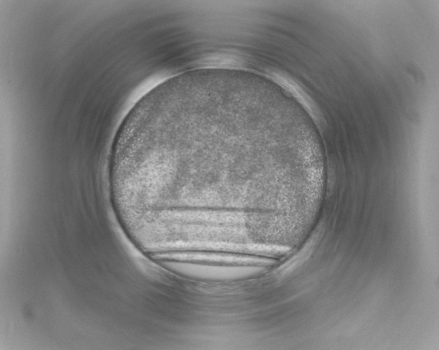 X0000114661434200911171102