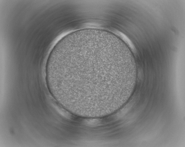 X0000114661435200911171102