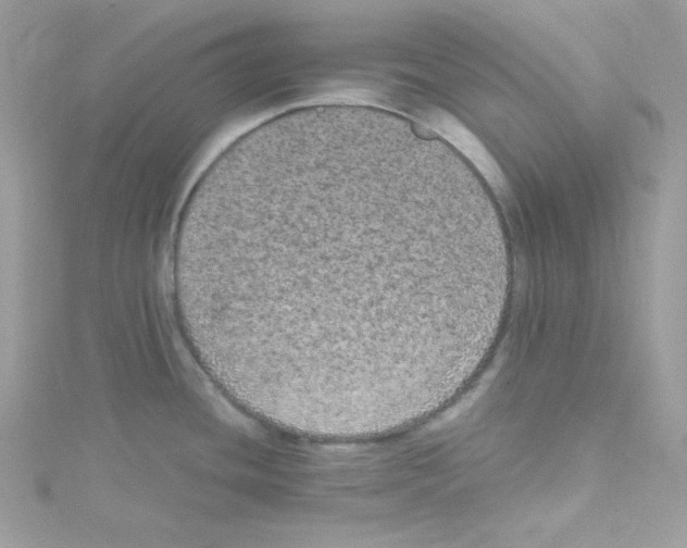 X0000114661436200911171102