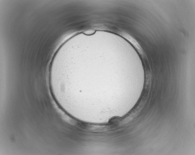 X0000114661439200911171102