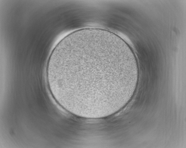 X0000114661440200911171102