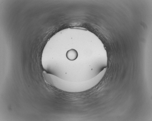 X0000114661441200911171101