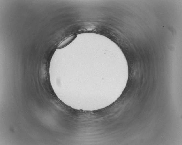 X0000114661442200911171101