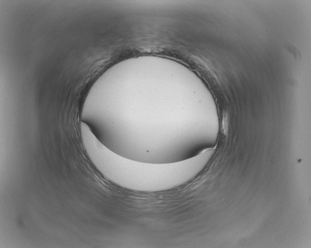 X0000114661444200911171101