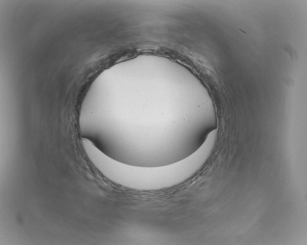 X0000114661445200911171101