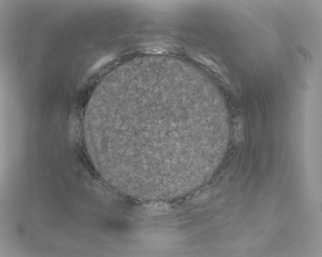 X0000114661446200911171101