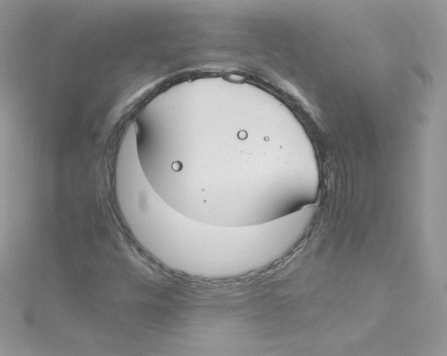 X0000114661448200911171101