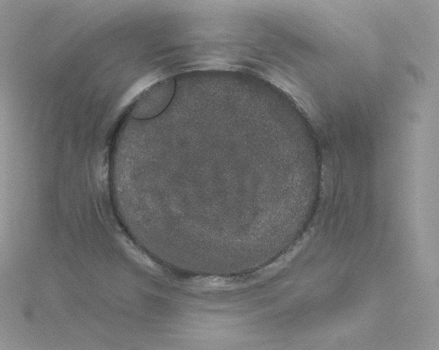 X0000114661450200911171101