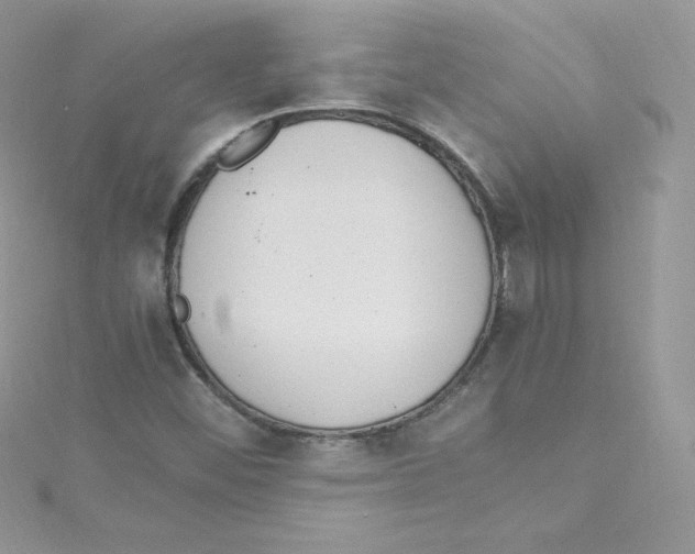 X0000114661452200911171101