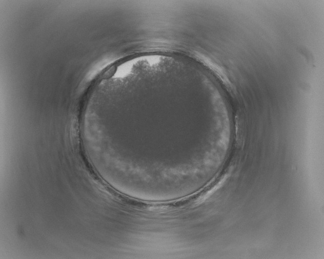 X0000114661453200911171101