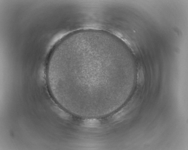 X0000114661454200911171101