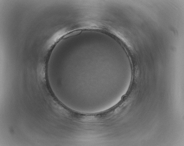 X0000114661455200911171101