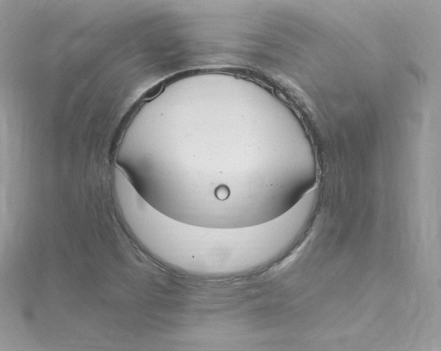 X0000114661457200911171101