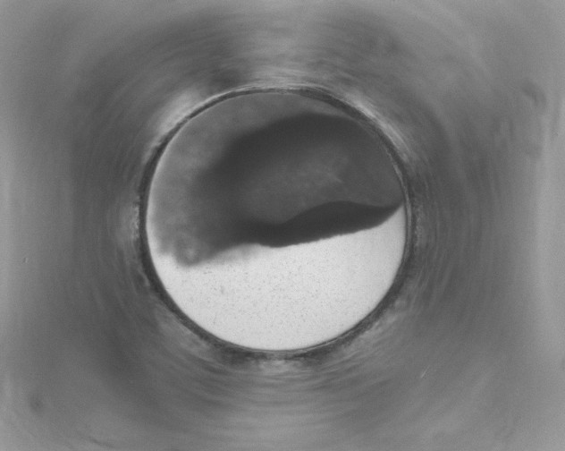 X0000114661459200911171101