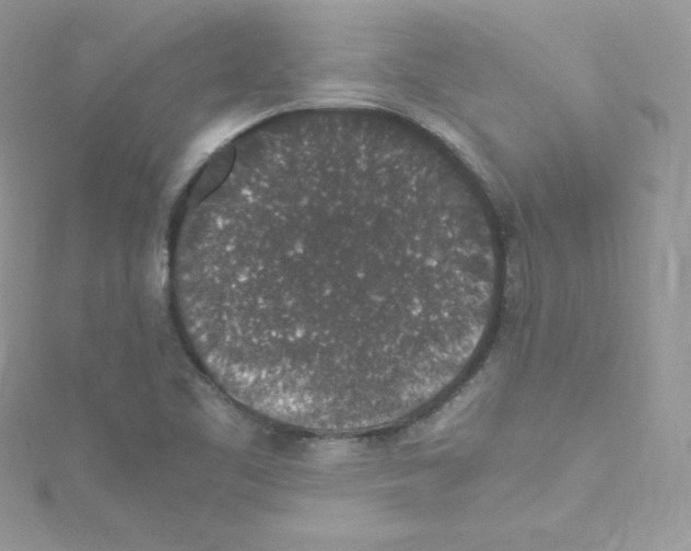 X0000114661461200911171101