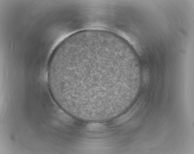 X0000114661462200911171101