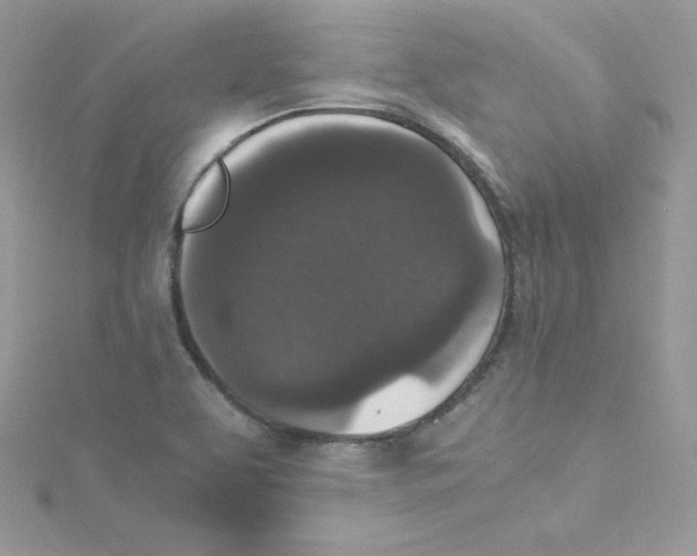 X0000114661463200911171101