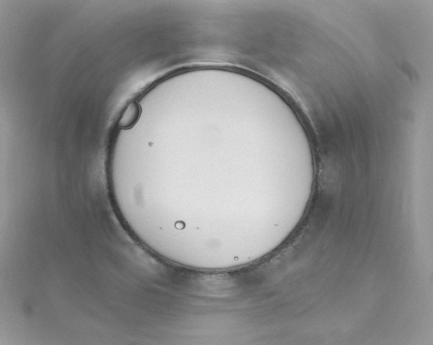 X0000114661464200911171101