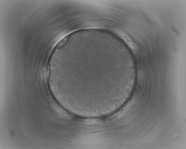 X0000114661465200911171101