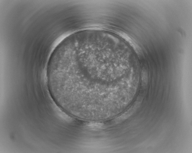 X0000114661466200911171101