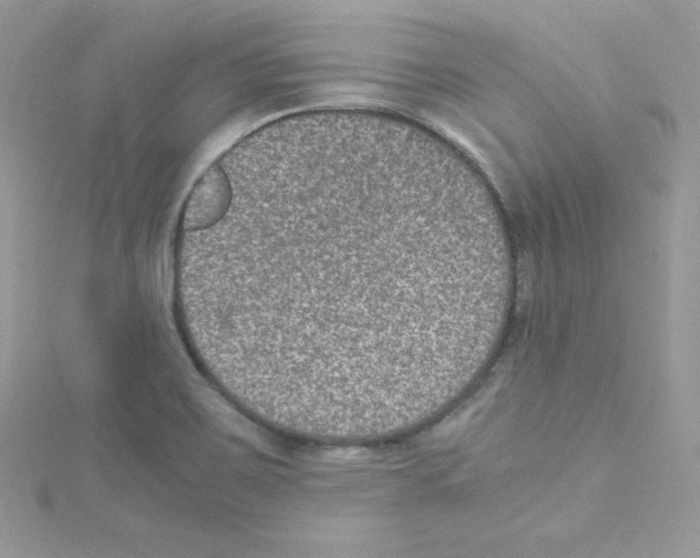 X0000114661467200911171101