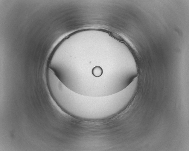 X0000114661468200911171101