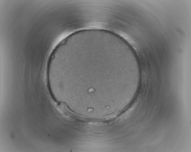 X0000114661469200911171101