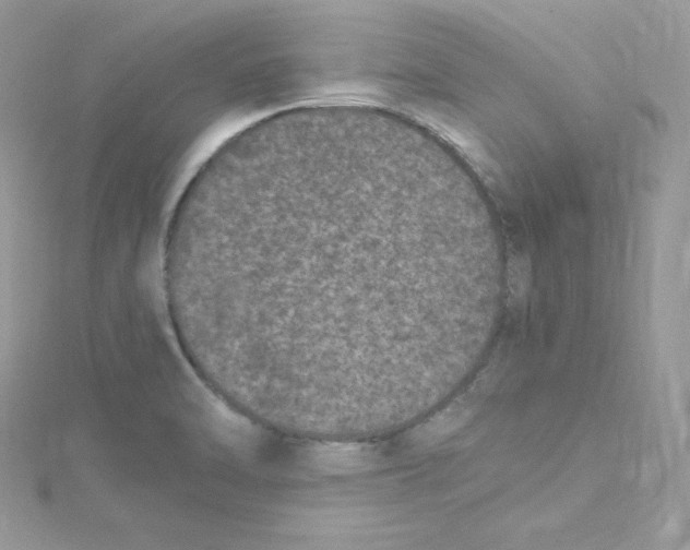 X0000114661470200911171101